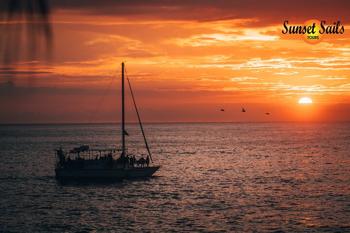 Sunset Sails Tours Afternoon or Morning Cruise - Photo 1 of 8